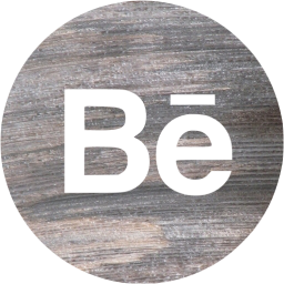behance 4 icon