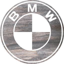 bmw icon