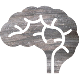 brain icon