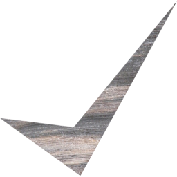 check mark 10 icon