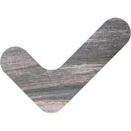 check mark 12 icon