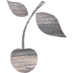 cherry icon