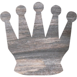 chess 16 icon