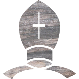 chess 21 icon