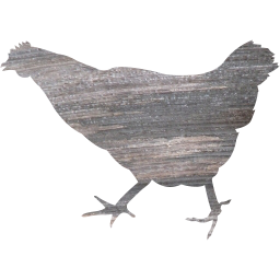chicken 2 icon