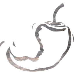 chili pepper 18 icon