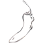 chili pepper 25
