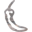 chili pepper 7