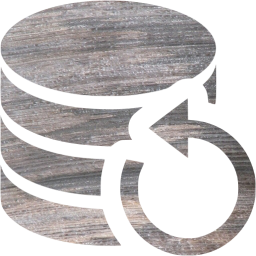data backup icon