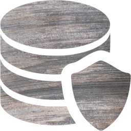 data protection icon