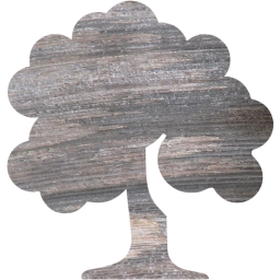 deciduous tree icon