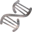 dna helix