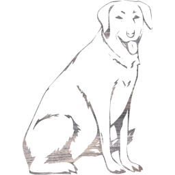 dog 13 icon