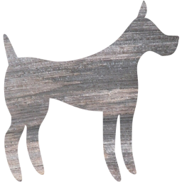 dog 31 icon