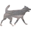 dog 32