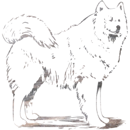 dog 4 icon
