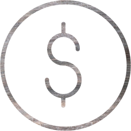 dollar 2 icon