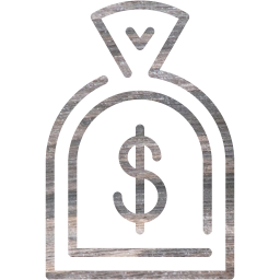 dollar icon