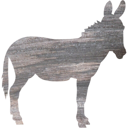 donkey 2 icon