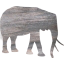 elephant 3