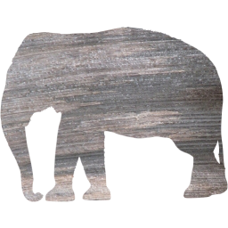 elephant 4 icon