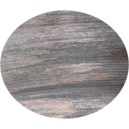 ellipse icon