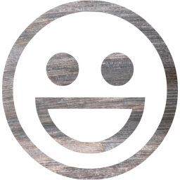 emoticon 24 icon