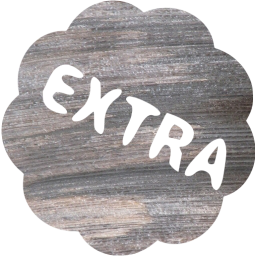 extra badge icon