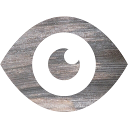 eye 2 icon