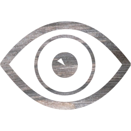 eye 4 icon