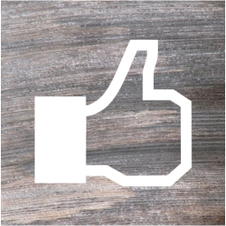 facebook like 2 icon