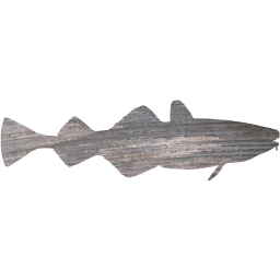 fish 4 icon