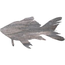 fish 7 icon