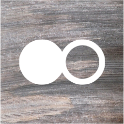 flickr 2 icon