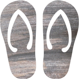 flip flop icon