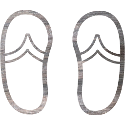 flip flops icon