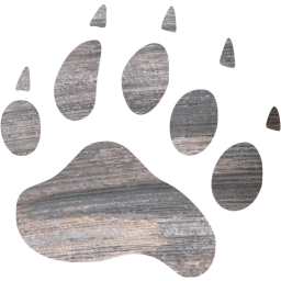footprints bear icon