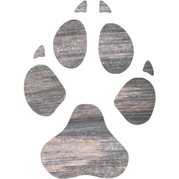 footprints dog icon