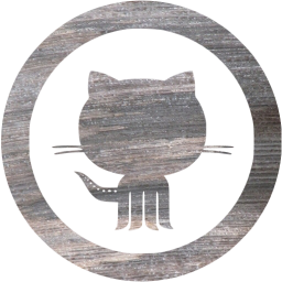 github 10 icon