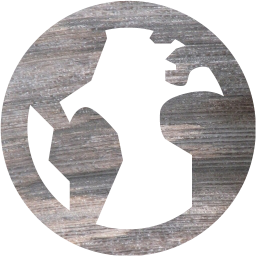 globe 7 icon