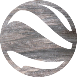 google earth icon