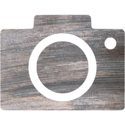 google images icon