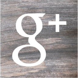 google plus 2 icon