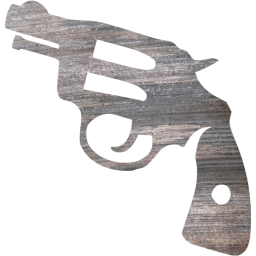 gun 2 icon