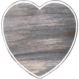 heart 55 icon