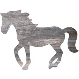 horse 2 icon