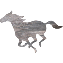 horse icon