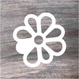 icq 2 icon