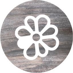 icq 4 icon