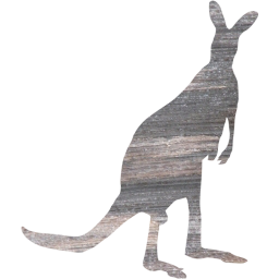 kangaroo 2 icon